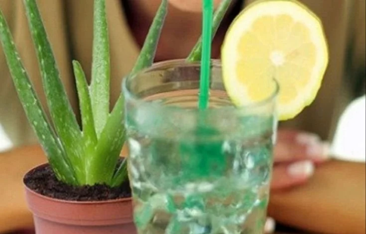 8 Amazing Health Benefits Drinking Aloe Vera Juice (Daily!)